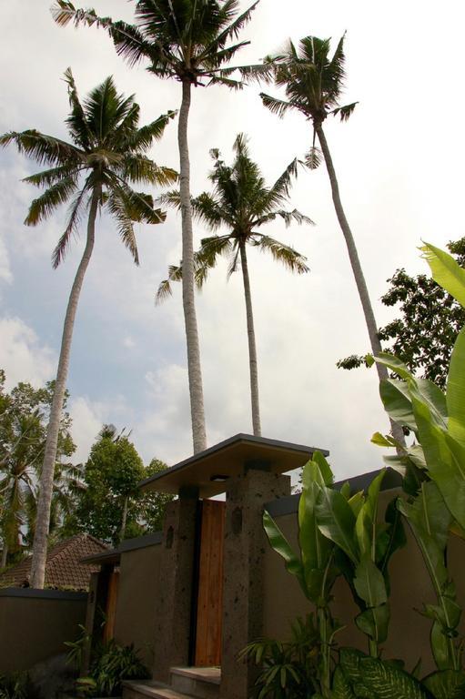 Villa Padma Ubud Экстерьер фото